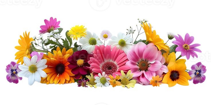Lee Blooms